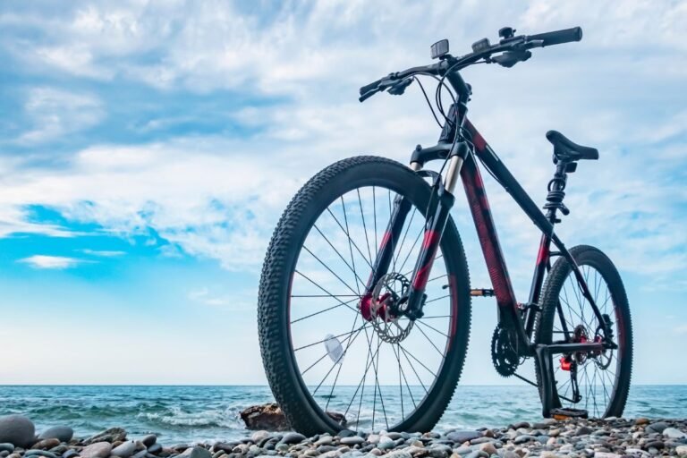 As melhores marcas de bicicletas para os melhores ciclistas