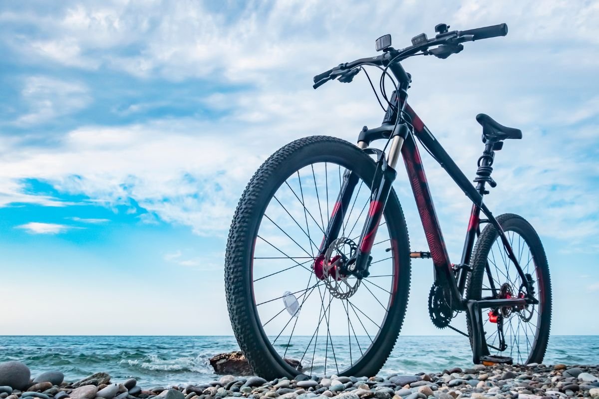 As melhores marcas de bicicletas para os melhores ciclistas